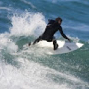 Meet your Posher, Griffin